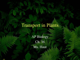 Plant Structure and Function Ch. 35