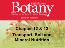 Slide set 9 – Physiology – Transport and nutrition