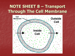 Transport Through the Cell Membrane