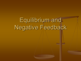 Equilibrium and Negative Feedback