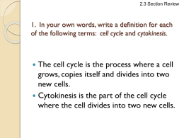 Chapter 2 The Cell in Action