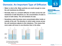Osmosis into cells