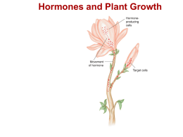 9.1 Auxins and Growth