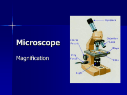 Microscope magnification ppt