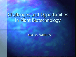 Challenges and Opportunities in Plant Biotechnology Food
