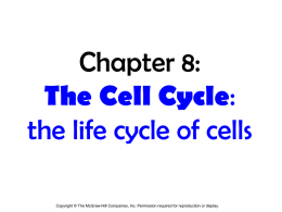 Chapter 8: The Cell Cycle