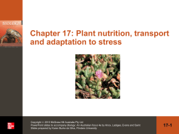 Plant nutrition, transport and adaptation to stress