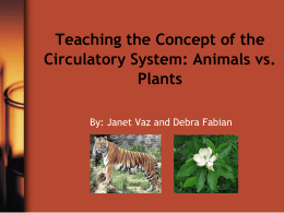 Teaching the Concept of the Circulatory System: Animals vs. Plants