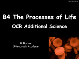 B4 The Processes of Life
