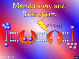 8.membranes & transport