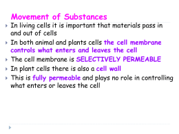 Movement of Substances
