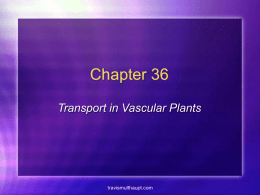 Chapter 36 Part I Transport in Vascular Plants
