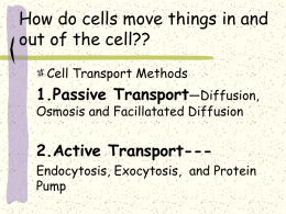 Osmosis-diffusion-Active_Transport PPT