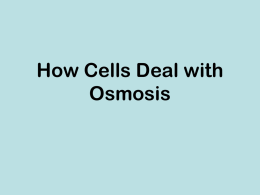 osmosis cells