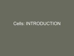 Cells: INTRODUCTION