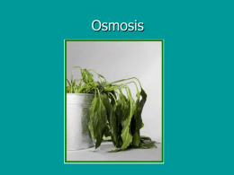 Osmosis - kehsscience.org