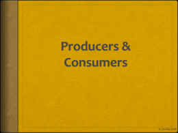 Producers & Consumers