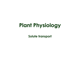 Solute transport - Lectures For UG-5