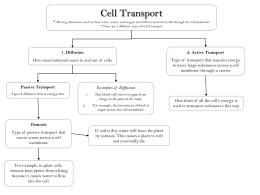 Cell Transport graphic organizer