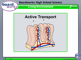 Boardworks Active Transport W8