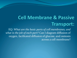 Membrane structure, I