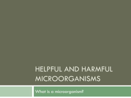 Helpful and harmful microoranisms