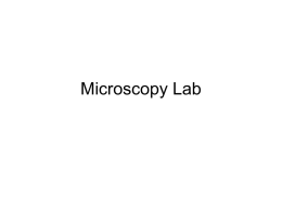 Microscopy Lab