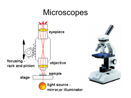 micro intro organelles