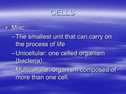 cells - GEOCITIES.ws