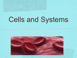 Cells and Systems Characteristics of Living Things Some