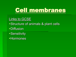 Cell membranes - the Redhill Academy