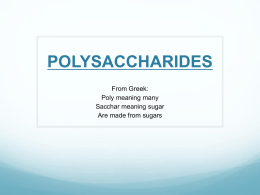 2012polysaccharides1..