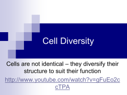 Cell Diversity - I. Reillys Biology Class