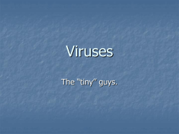 Viruses - TeacherWeb