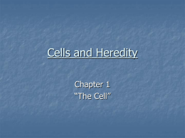 Cells and Heredity