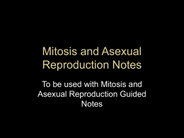 Chapter 8 Mitosis - My Teacher Pages