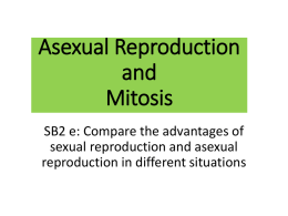 Asexual Reproduction & Mitosis Notes