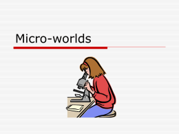 Micro-worlds