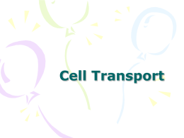 Cell Transport - pams