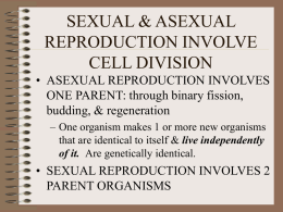 SEXUAL & ASEXUAL REPRODUCTION INVOLVE CELL DIVISION