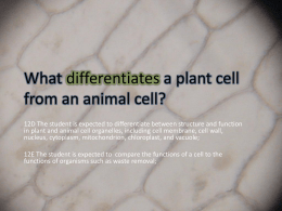 Comparative Study of Plant and Animal Cells