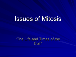 2 Issues of Mitosis