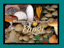 fungi - Mr. Wells` wikispace