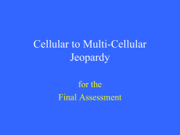 Cells Jeopardy final review game