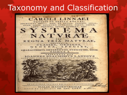 Classification and Taxonomy presentation