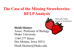 Supplemental File S9. The Case of the Missing Strawberries