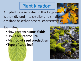 Plant Groups Vascular and Non Vascular