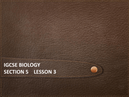 iGCSE Biology Section 5 lesson 3