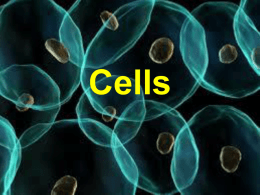 Cells - RCSD