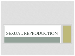 Sexual Reproduction - Winston Knoll Collegiate